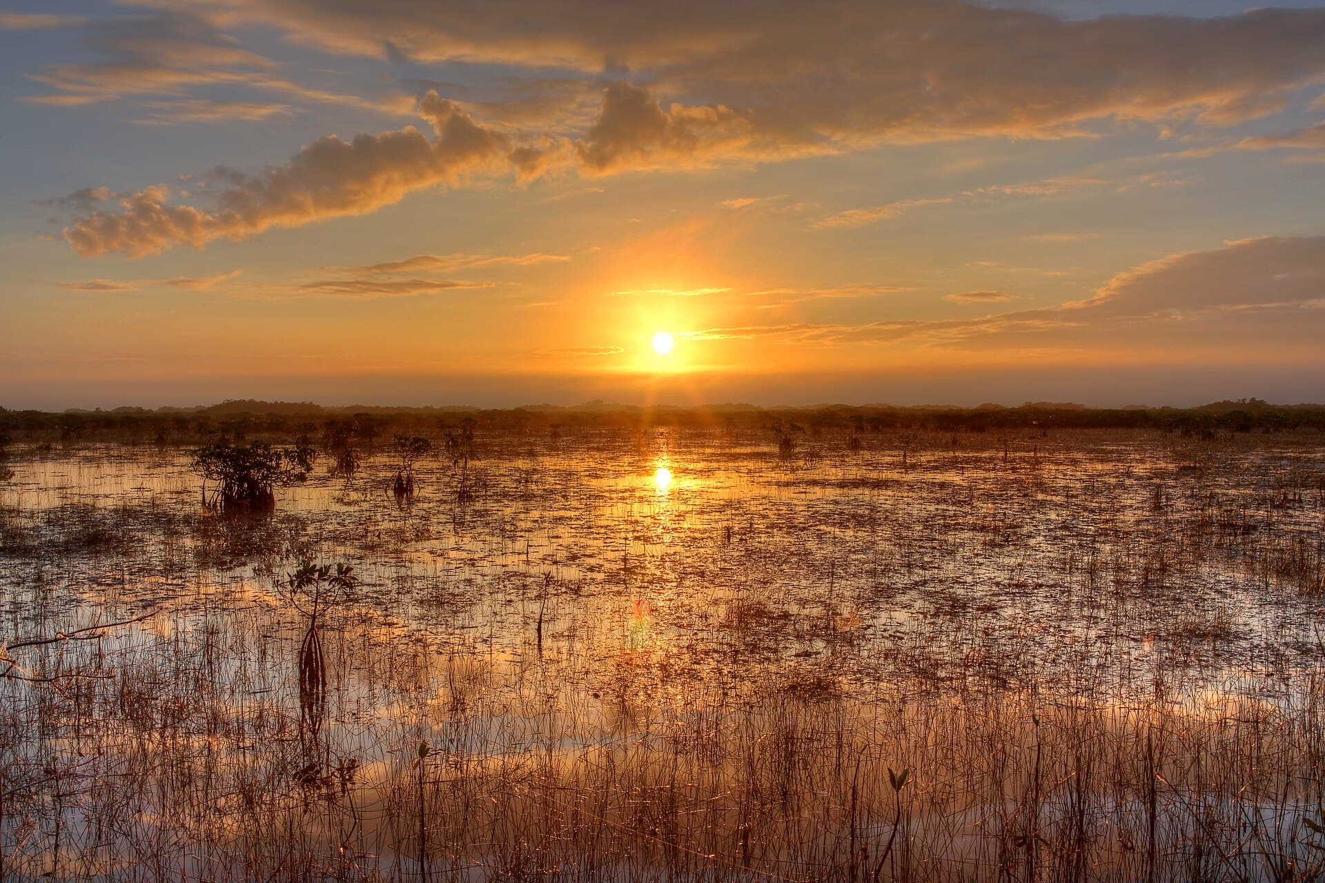 Everglades NPS from Homestead, Florida, United States / Public domain via Wikimedia Commons Everglades National Park